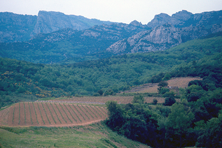 Languedoc
