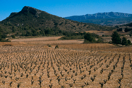 Roussillon