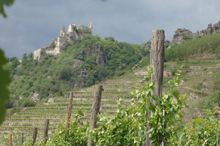 Wachau