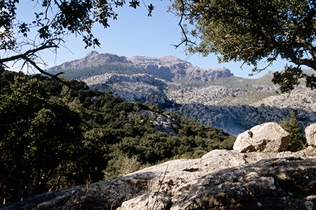 Mallorca