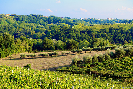 Molise & Abbruzzen