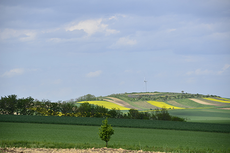 Weinviertel